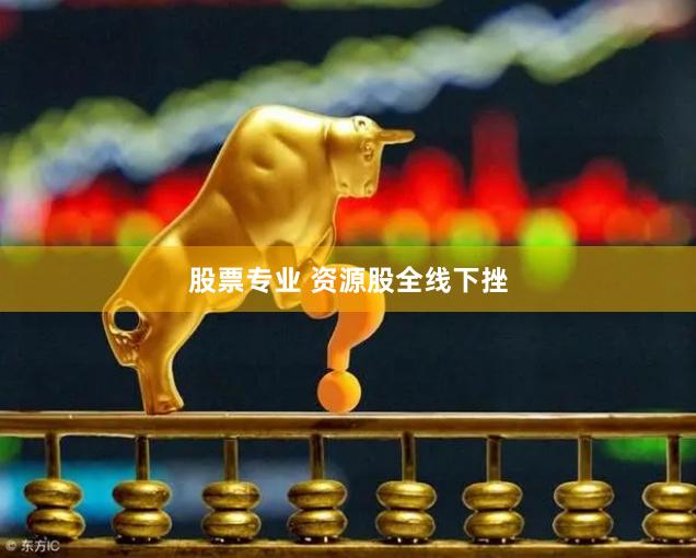 股票专业 资源股全线下挫