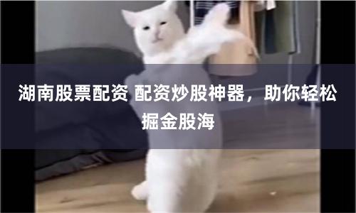 湖南股票配资 配资炒股神器，助你轻松掘金股海